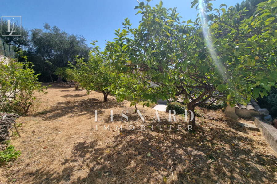 Maison à vendre à Vallauris — Vue nature — photo 19