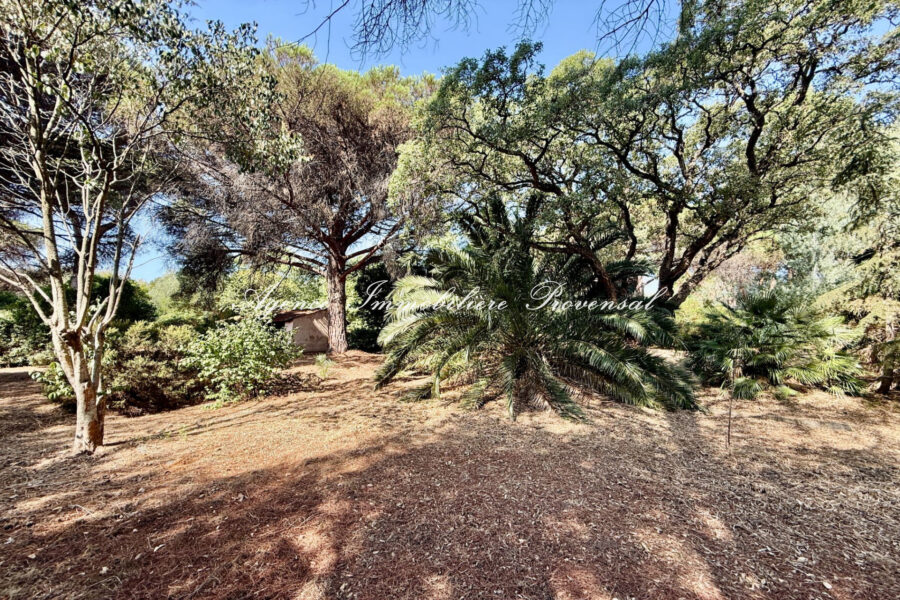 Terrain à vendre à Sainte-maxime — Vue nature — photo 3