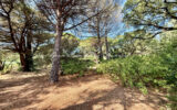 Terrain à vendre à Sainte-maxime — Vue nature — photo 1