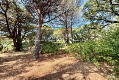 Terrain à vendre à Sainte-maxime