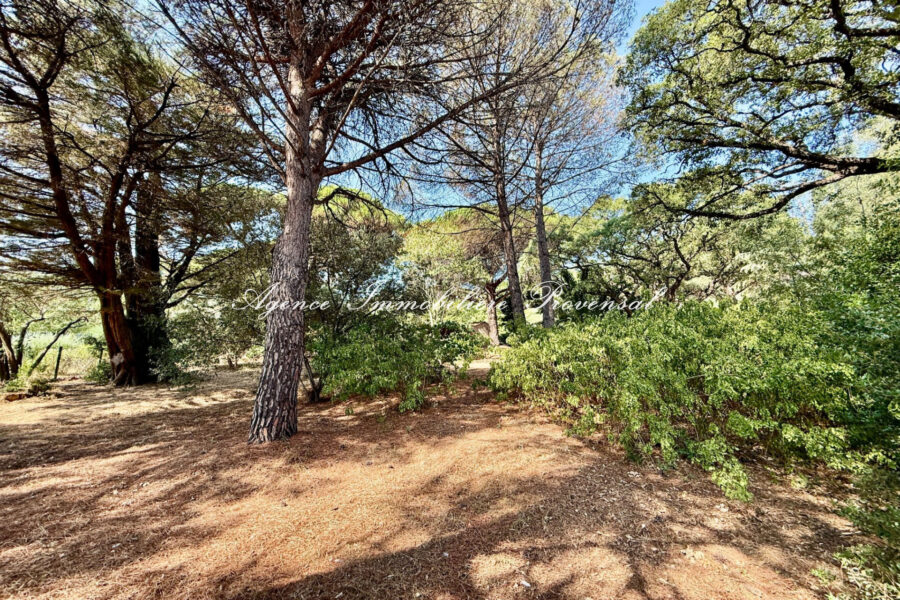 Terrain à vendre à Sainte-maxime — Vue nature — photo 1