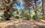 Terrain à vendre à Sainte-maxime — Vue nature — photo 5