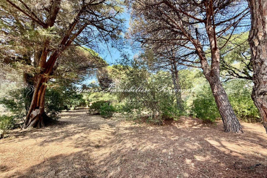 Terrain à vendre à Sainte-maxime — Vue nature — photo 5