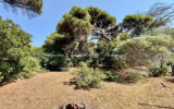 Terrain à vendre à Sainte-maxime — Vue nature — photo 4