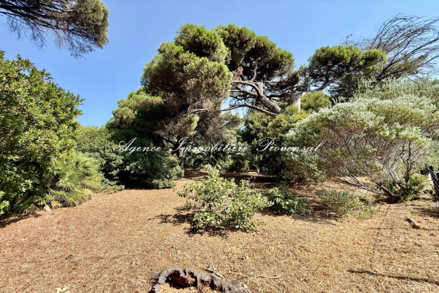 Terrain à vendre à Sainte-maxime — Vue nature — photo 4