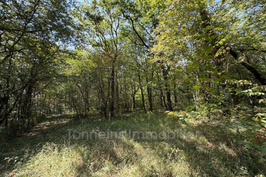 Maison à vendre à Hautesvignes — Vue parc & jardin — photo 15