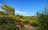 Maison à vendre à Grasse — Vue nature — photo 7