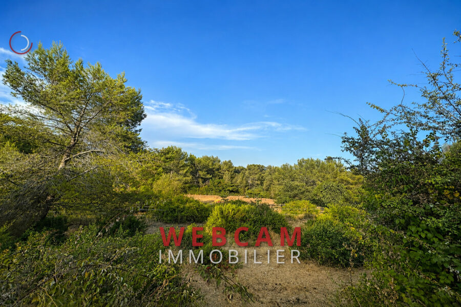 Maison à vendre à Grasse — Vue nature — photo 7