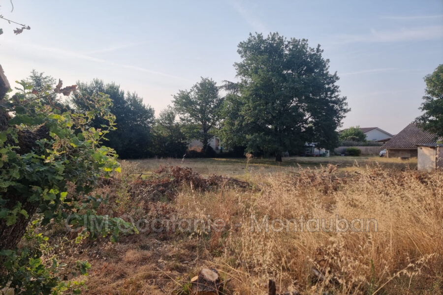 Terrain à vendre à Bressols — Vue nature — photo 1
