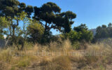 Terrain à vendre à Toulon — Vue dégagée — photo 1