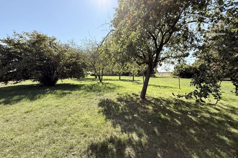 Maison à vendre à Tourailles — Vue nature — photo 26