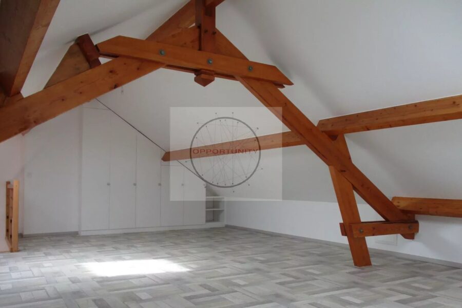 Maison à vendre à Chennevières-sur-marne — Vue parc — photo 19