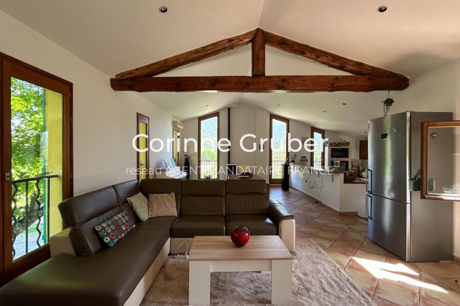 Maison à vendre à Digne-les-bains — Vue montagne — photo 2