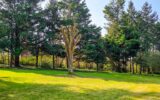 Terrain à vendre à Le mans — Vue parc & jardin — photo 2