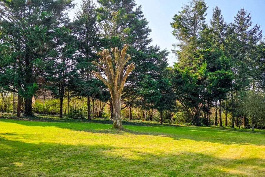 Terrain à vendre à Le mans — Vue parc & jardin — photo 2