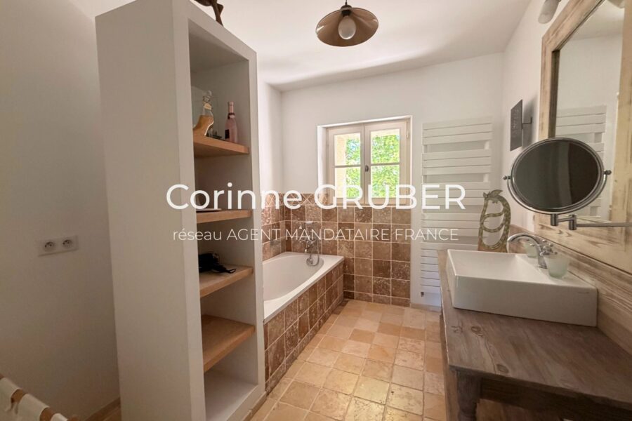 Maison à vendre à Thoard — Vue montagne — photo 19