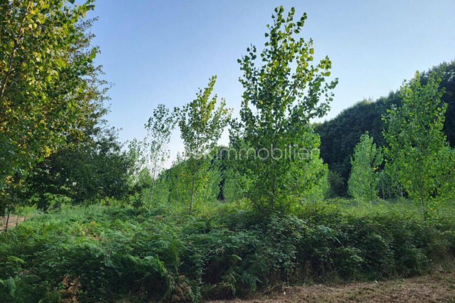 Terrain à vendre à Aire sur l adour — Vue nature — photo 7