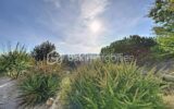 Maison à vendre à Rouffiac tolosan — Vue nature — photo 7