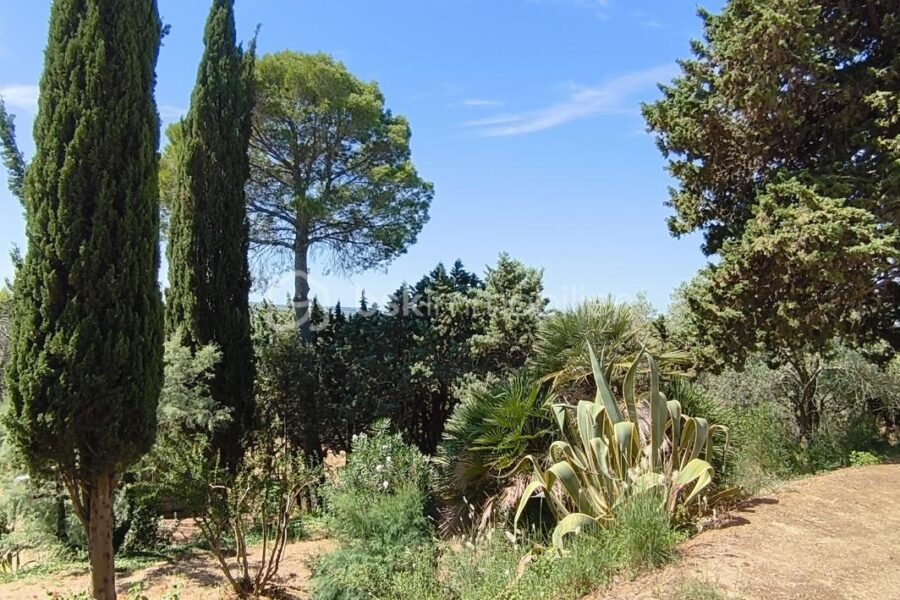 Maison à vendre à Maraussan — Vue nature — photo 7
