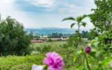 Maison à vendre à La frette — Vue nature — photo 1