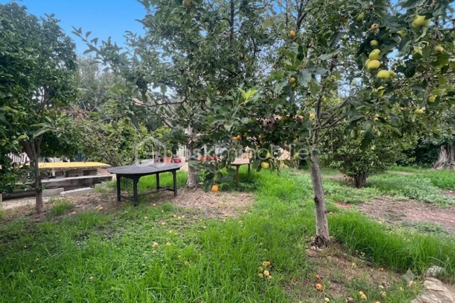 Maison à vendre à Ollioules — Vue dégagée — photo 8