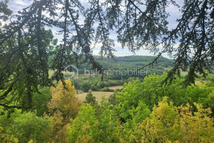 Maison à vendre à Agen — Vue nature — photo 1