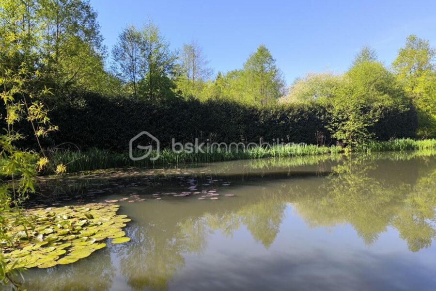 Maison à vendre à Montreuil le henri — Vue nature — photo 7