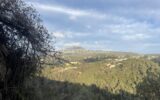 Maison à vendre à Colomars — Vue nature — photo 1