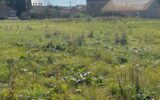 Terrain à vendre à Jallaucourt — Vue dégagée — photo 7