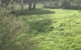Terrain à vendre à Ardiège — Vue nature — photo 4