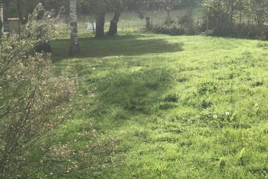 Terrain à vendre à Ardiège — Vue nature — photo 4