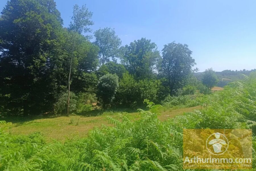 Terrain à vendre à Saint-laurent-de-muret — Vue nature — photo 1