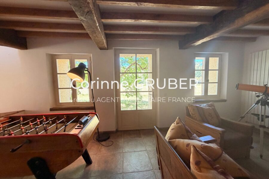 Maison à vendre à Thoard — Vue montagne — photo 18