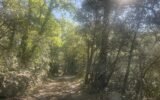 Terrain à vendre à Lorgues — Vue dégagée — photo 1