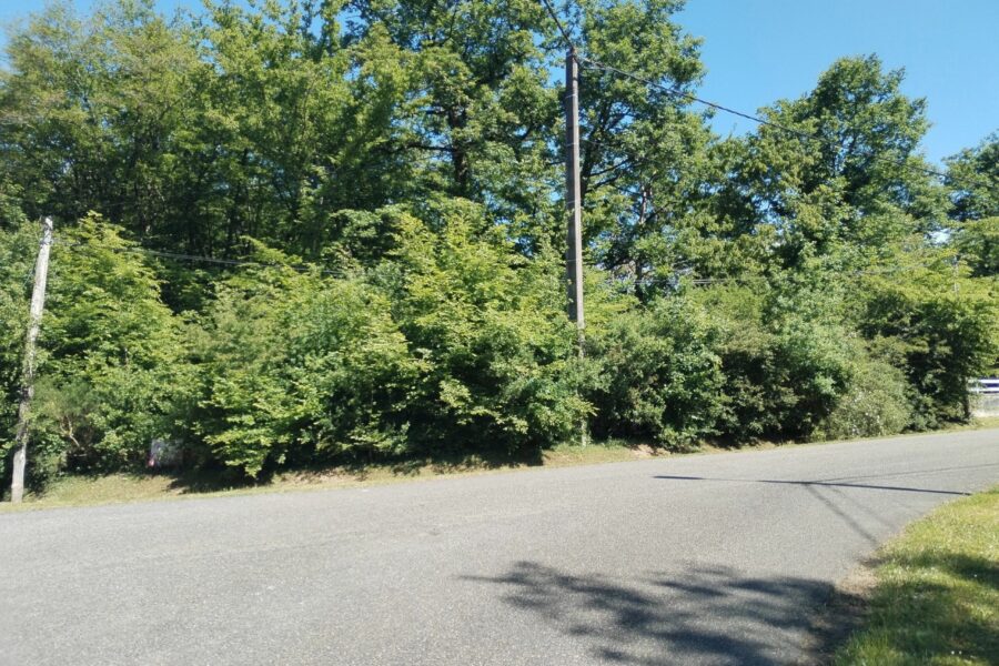 Terrain à vendre à Bazoches-sur-le-betz — Vue dégagée — photo 3