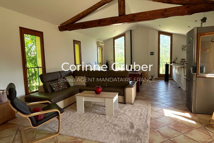 Maison à vendre à Digne-les-bains — Vue montagne — photo 5