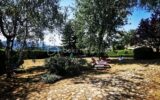 Maison à vendre à Thoard — Vue montagne — photo 8