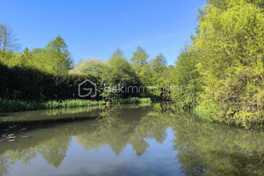 Maison à vendre à Montreuil le henri — Vue nature — photo 8