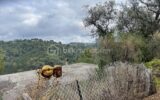 Maison à vendre à Colomars — Vue nature — photo 8