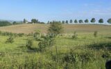 Maison à vendre à Agen — Vue nature — photo 8