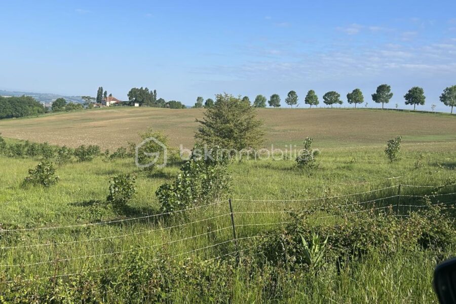 Maison à vendre à Agen — Vue nature — photo 8