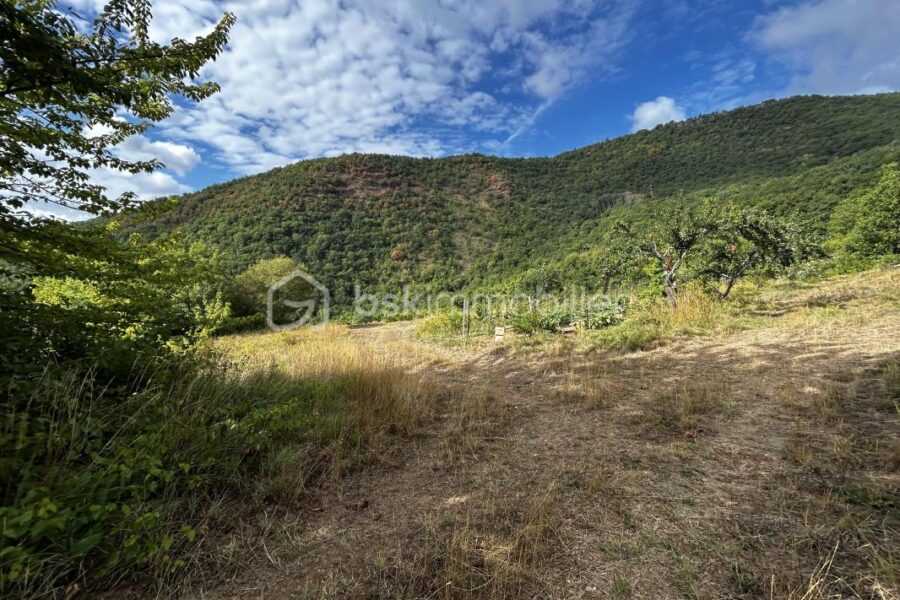Maison à vendre à Montjaux — Vue nature — photo 8