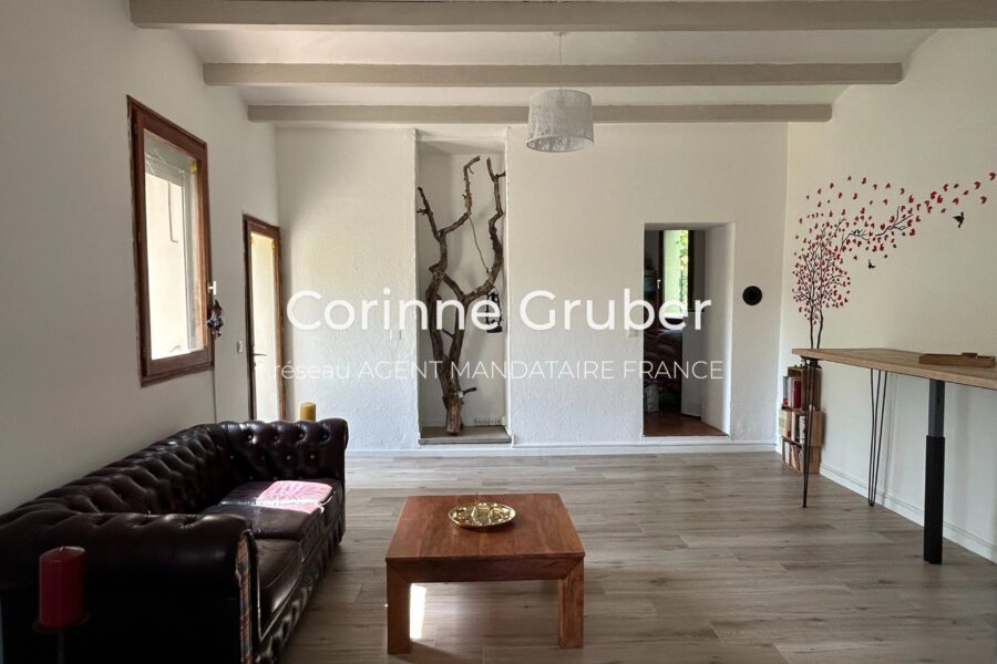 Maison à vendre à Digne-les-bains — Vue montagne — photo 23