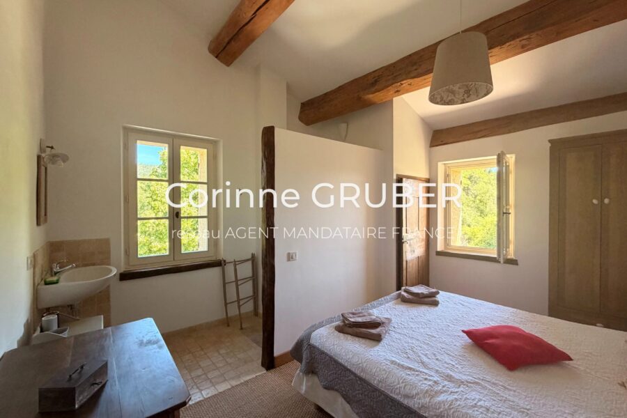 Maison à vendre à Thoard — Vue montagne — photo 22