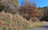 Terrain à vendre à La canourgue — Vue montagne — photo 4