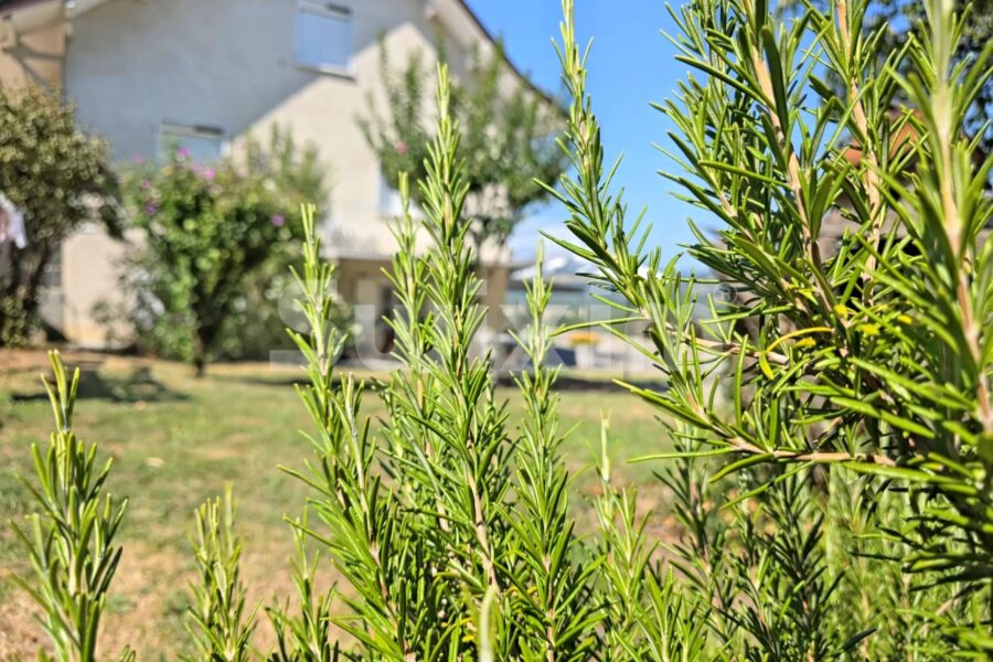 Maison à vendre à Peyrieu — Vue montagne — photo 14