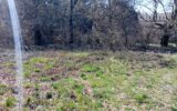 Terrain à vendre à Royère-de-vassivière — Vue nature — photo 2