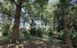 Maison à vendre à Arcangues — Vue nature — photo 37