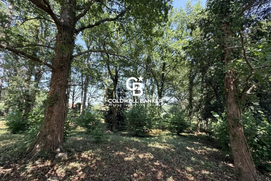Maison à vendre à Arcangues — Vue nature — photo 37