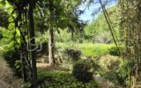 Maison à vendre à Rebais — Vue nature — photo 1